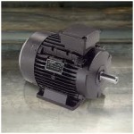 Motor Eléctrico 8